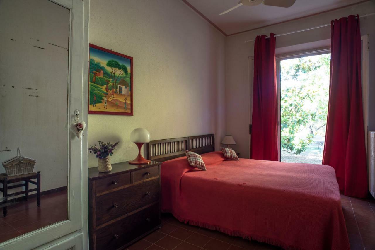 Trecentolivi B&B Montignano ภายนอก รูปภาพ